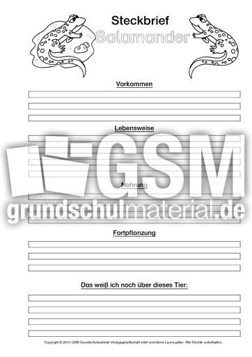 Salamander-Steckbriefvorlage-sw.pdf